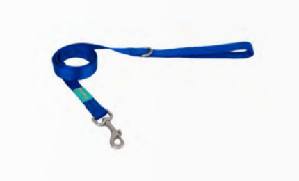 Leash Nylon Basic Blue