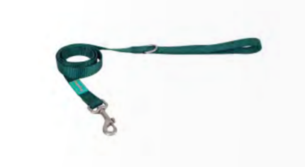 Leash Nylon Basic Green