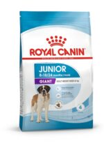 Junior Giant