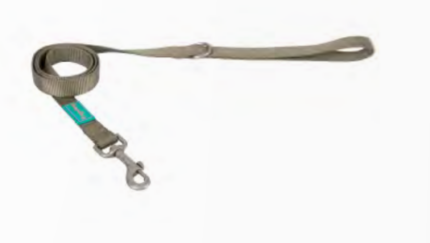Leash Nylon Basic Sage Green