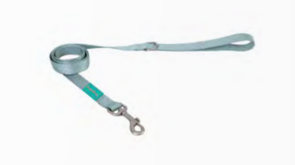 Leash Nylon Basic Sky Blue