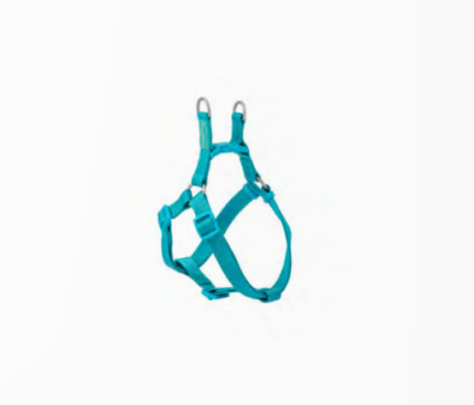 Harness Nylon Basic Turquoise