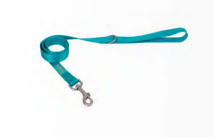 Leash Nylon Basic Turquoise