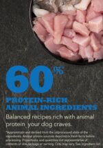 ACANA Adult Dog Recipe - Image 2