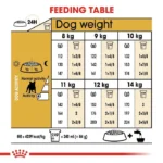 Adult French Bulldog - Image 6