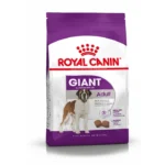 Adult Giant