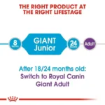 Junior Giant - Image 3