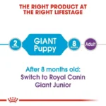 Puppy Giant - Image 4