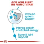 Puppy Giant - Image 5