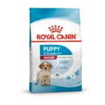 Puppy Medium breeds