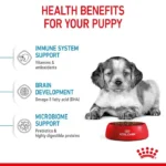 Puppy Medium breeds - Image 2