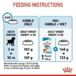 Puppy Medium breeds - Image 4