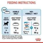 Puppy Small breeds - Image 6