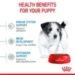 Puppy Small breeds - Image 2
