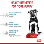 Puppy Maxi - Image 7