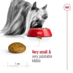 Adult X-Small - Image 3