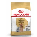 Adult Yorkshire Terrier
