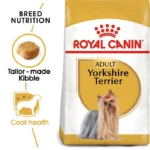 Adult Yorkshire Terrier - Image 2